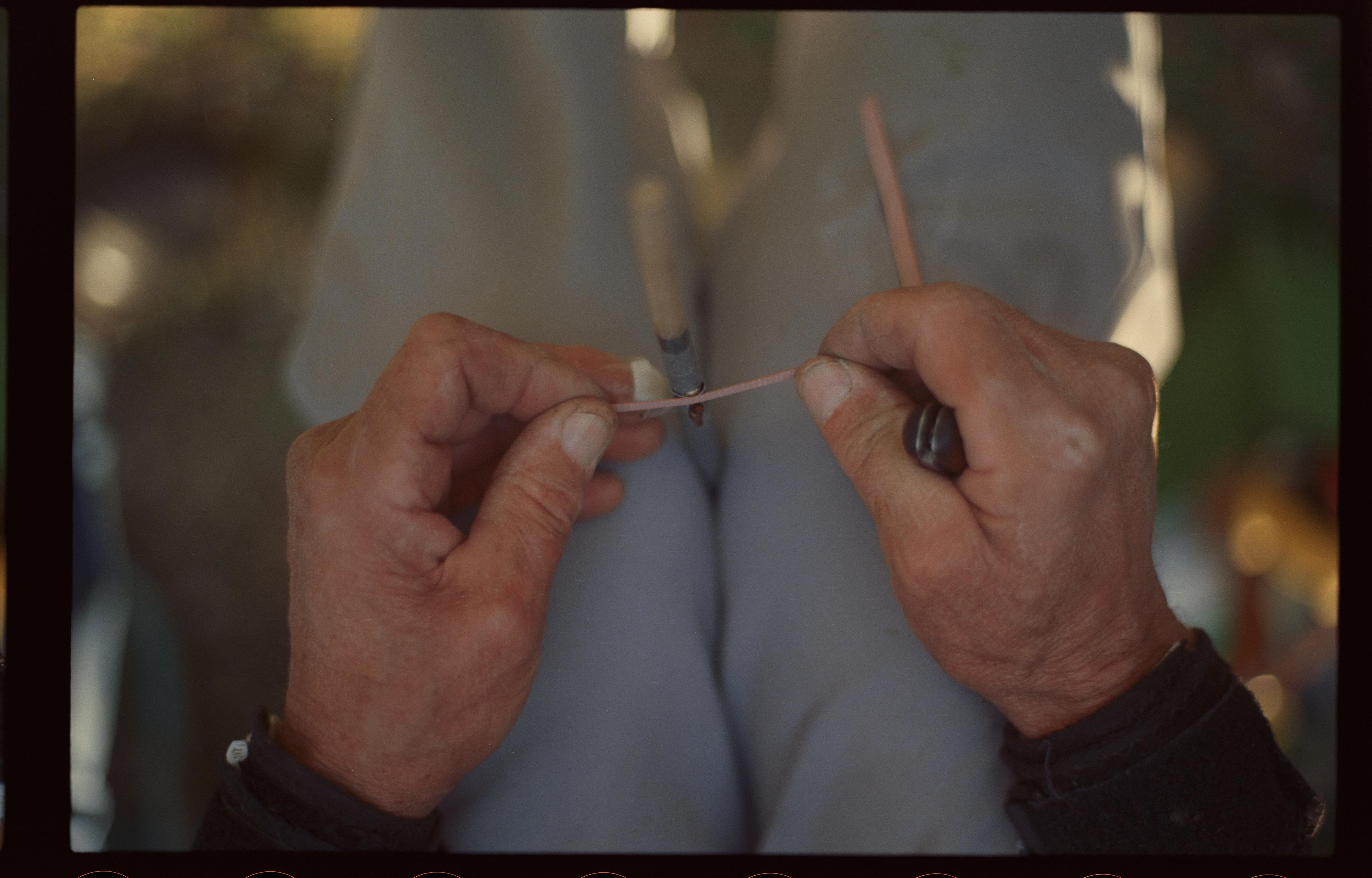 Sadežev pozabljeni jezik