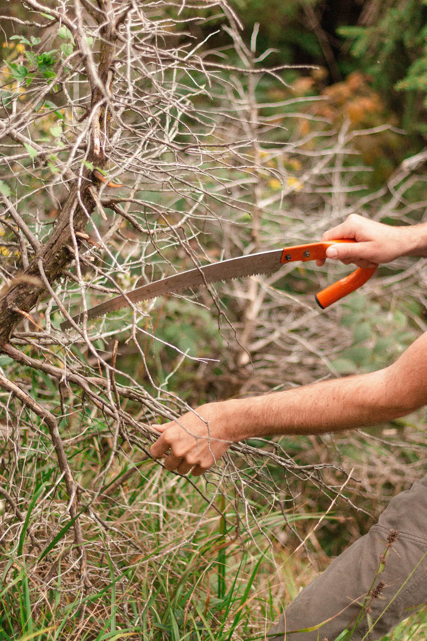 Cracks between the village, the forest and the valley