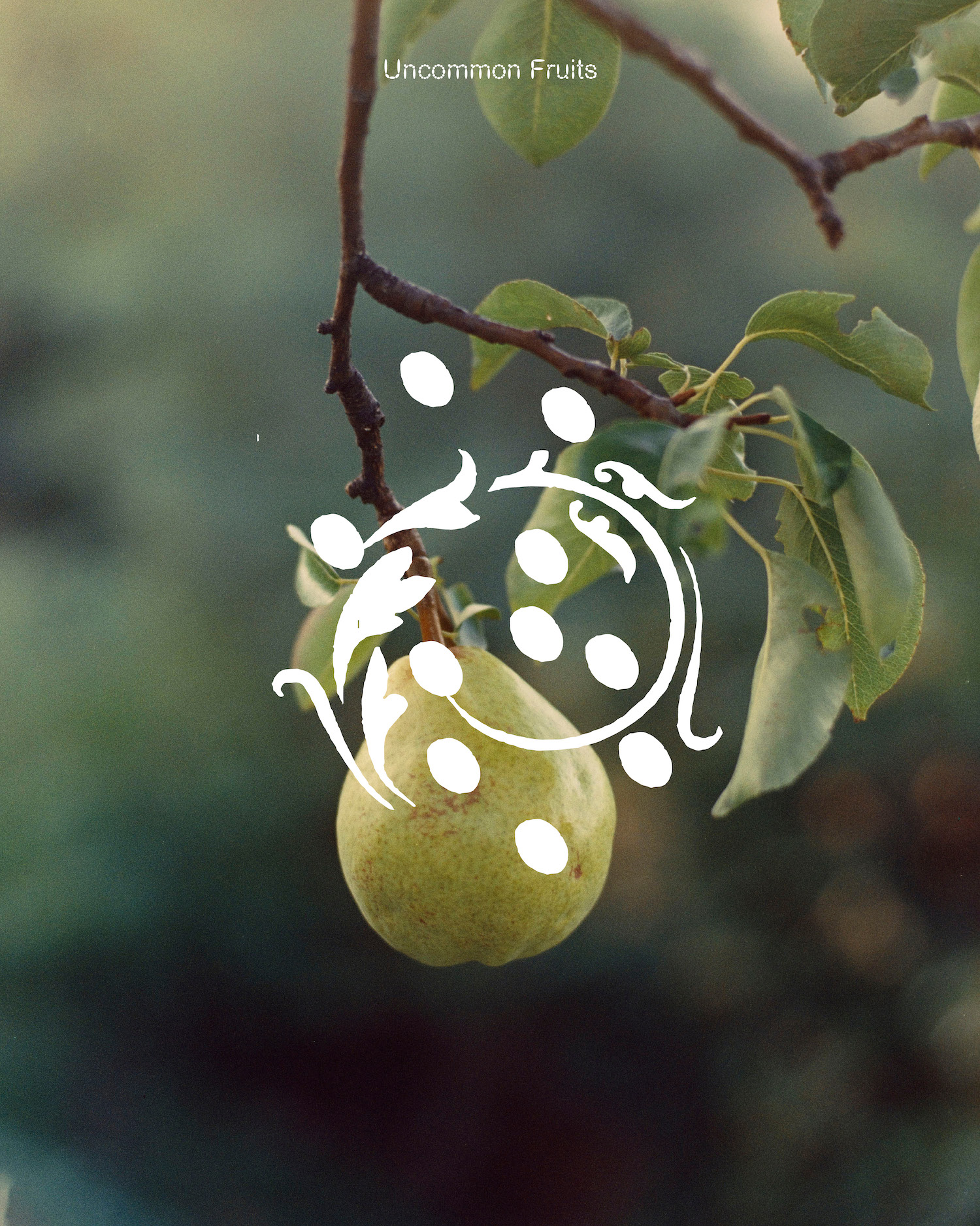 Keywords as Contextual Fruits