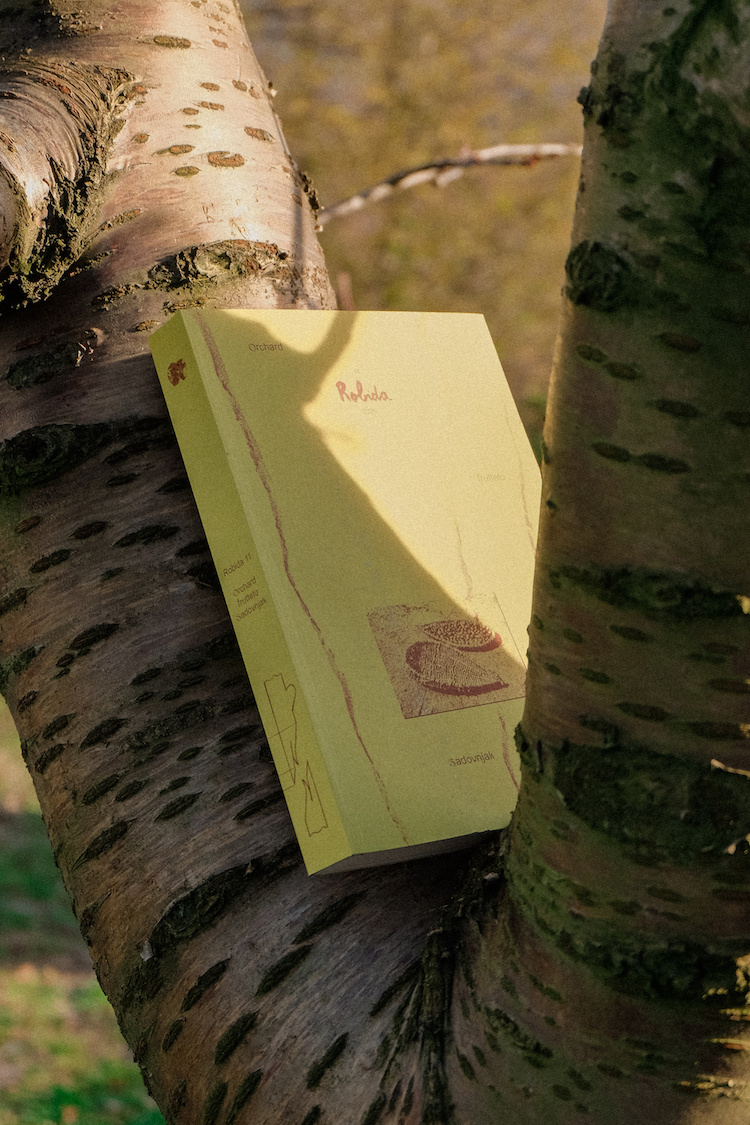 Robida 11 Orchard Presentation