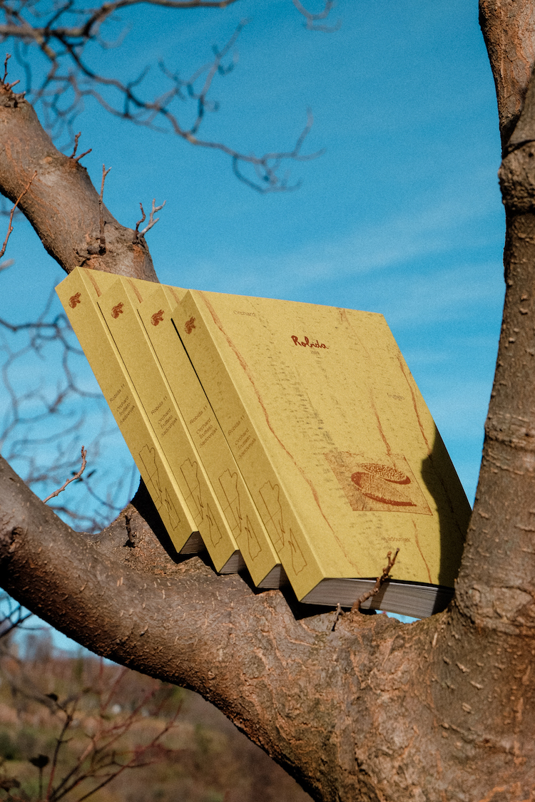 Presentazione Robida 11 frutteto