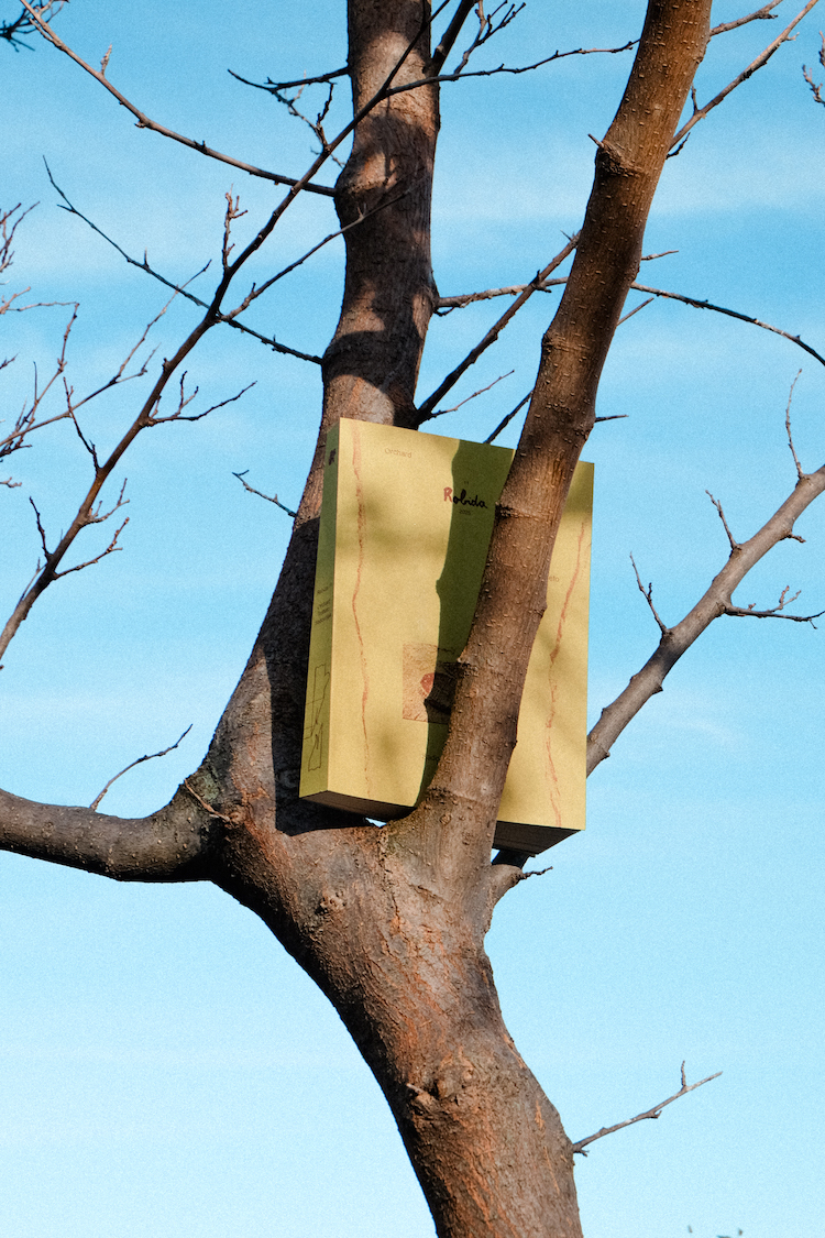 Robida 11 Orchard Presentation