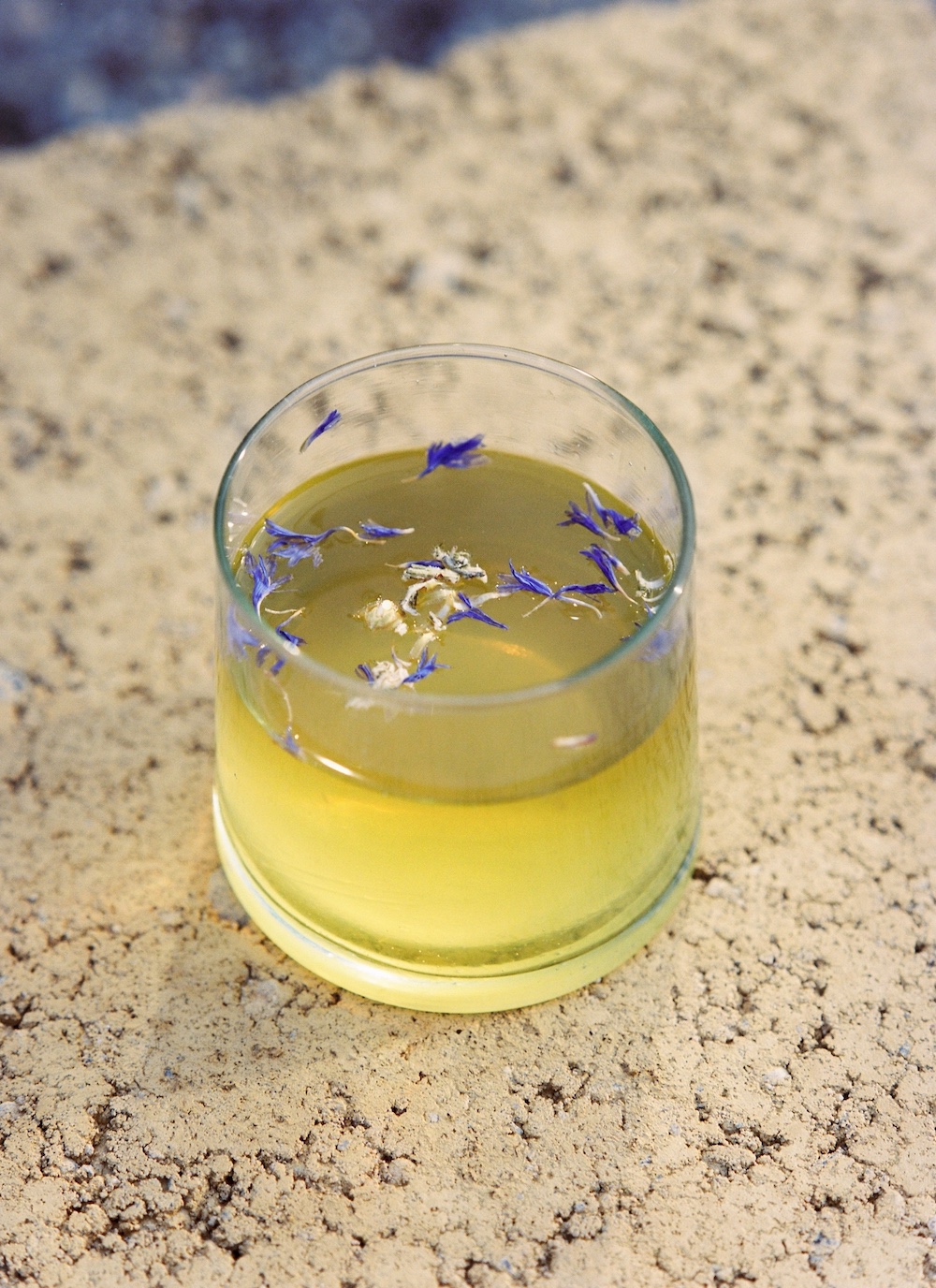 Workshop n. 4 – Ways to Vinegar