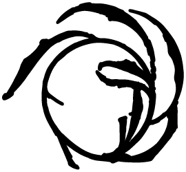 Ramificazione