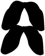 Spigolatura