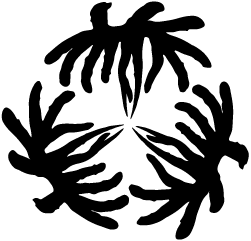 Raccolta onorevole